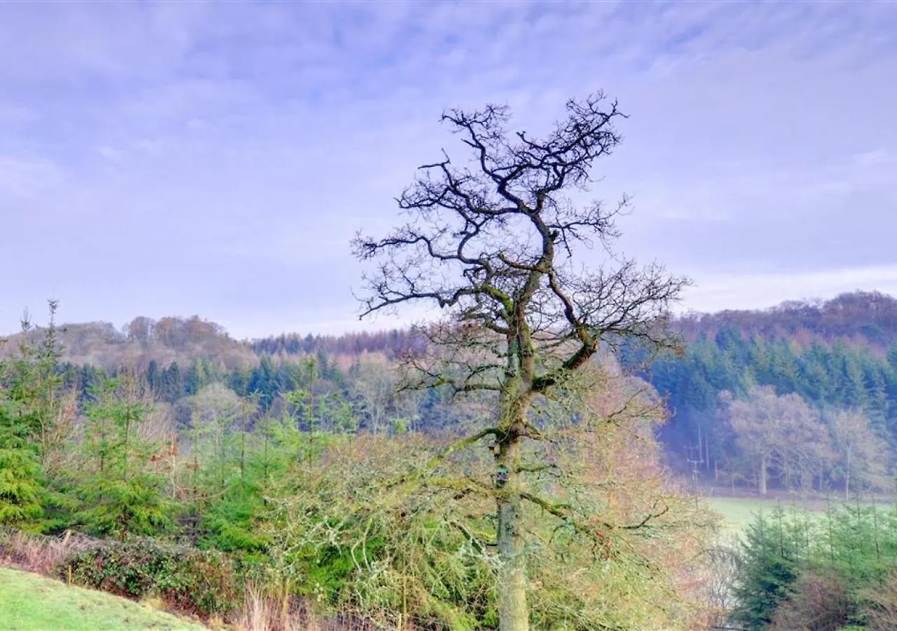 別荘 Woodpecker Cottage Hutton le Hole イギリス